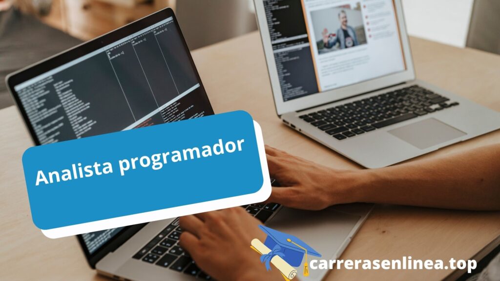Analista programador